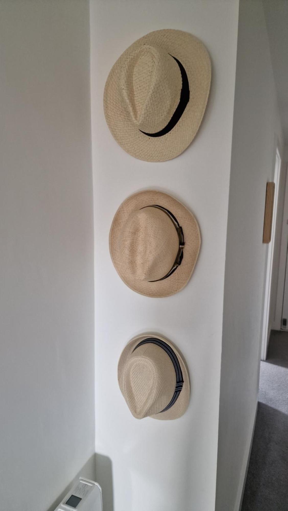Number 15 Luxurious Two Bedroom Apartment エクスマウス エクステリア 写真